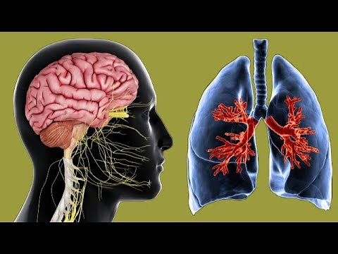 Multiple Organ Dysfunction Syndrome (MODS): Causes And Symptoms