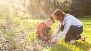 Behaviour as Communication - A Growing Understanding