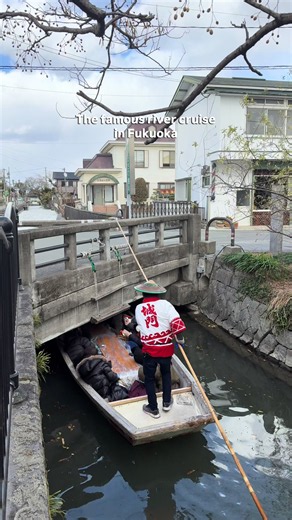 One of the experiences I’ve seen so many times on social media that I was really curious about! 😆 This is a traditional kawakudari (punting) ride along the historic waterways that once served as the moat system of Yanagawa Castle. 🏯You’ll float gently through narrow canals on a long, flat boat called a donko-bune, guided by expert boatmen. Along the way, they share stories about the town, sing traditional songs, and sometimes even perform incredible stunts like jumping from the boat onto a bri