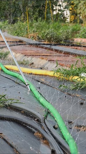 127K views · 920 reactions |  Never settle for spotty...