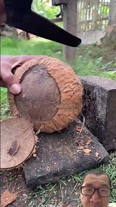 How to separate coconut shell is so cool