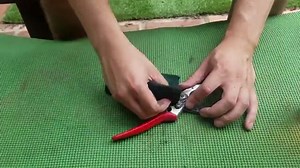 Spring Garden Prep: What You Need To Do To Get Ready To Grow