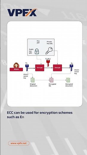 Elliptic Curve Cryptography