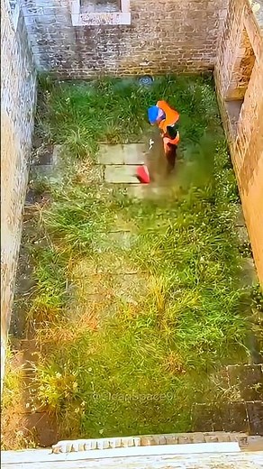 The MOST SATISFYING Grass Cut EVER! From JUNGLE to JOY!