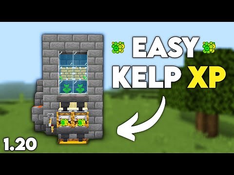 EASY KELP XP Farm 1.20.1+ Minecraft Bedrock [Windows,MCPE,PS5,Xbox,Switch]