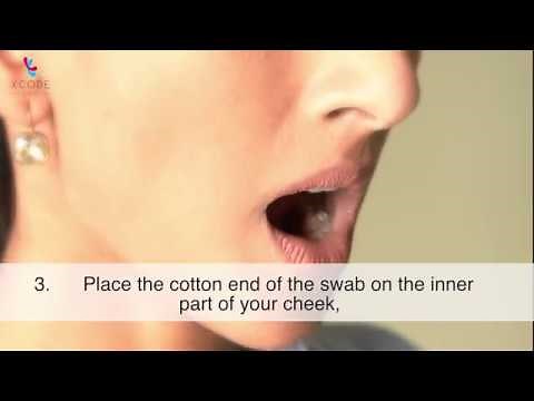 How to collect DNA from cheek cells using swab - Xcode Life