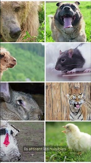 Quick & Easy Composting!