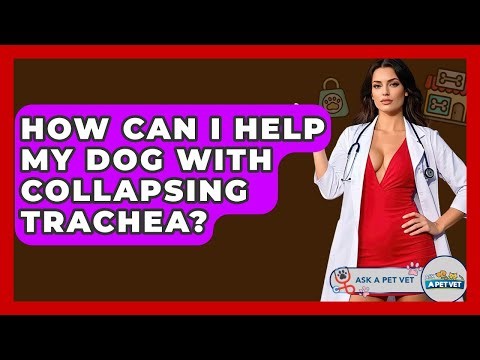 How Can I Help My Dog With Collapsing Trachea? - Ask A Pet Vet
