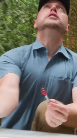 The effects of an assassin bug bite