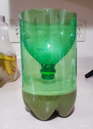 11 DIY Mosquito Traps That Are Dirt-Cheap to Make