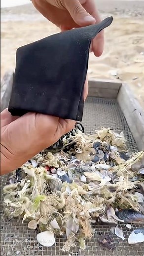 Beach Cleanup After a Big Storm — You Won’t Believe What We Found! #treasuresearch