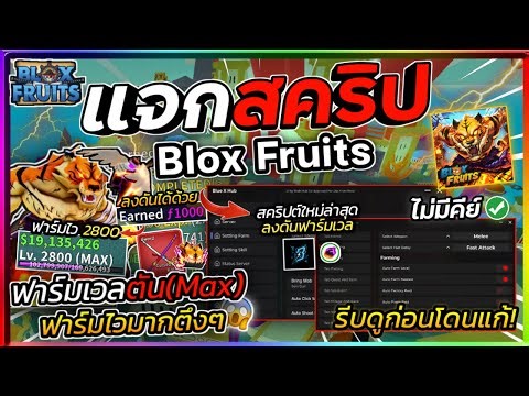 BLOX FRUITS Script No Key AUTO FARM, MAGNET, MASTERY FARM, SEA EVENT, VOLCANO, LEVIATHAN, V4 (BEST)🐯