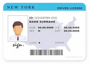 New York Driver License | License Lookup
