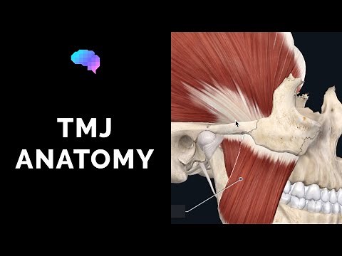 Temporomandibular Joint (TMJ) Anatomy | 3D Anatomy Tutorial | UKMLA | CPSA | PLAB 2