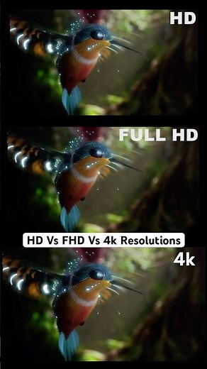 HD vs Full HD vs 4K: Decoding Screen Resolutions!