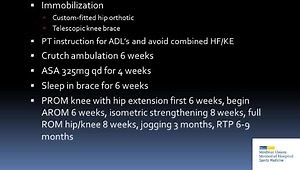Proximal Hamstring Repair