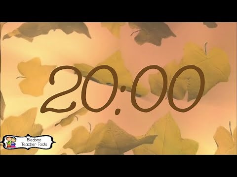 20 Minute Fall Timer