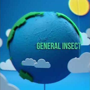 General Insect Types
