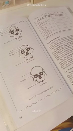 Transparent Sticky Notes for Easier Note Taking