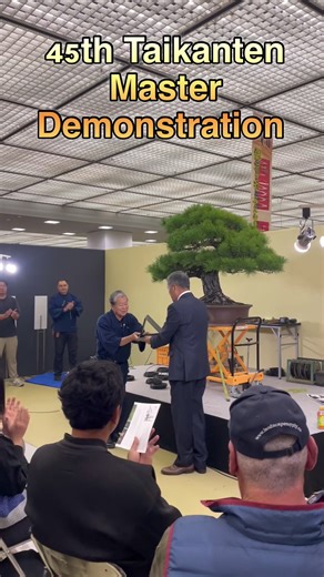 Bonsai Art: Discovering Space and Beauty