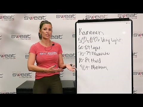 Understanding & Calculating Your Heart Rate Zones 101