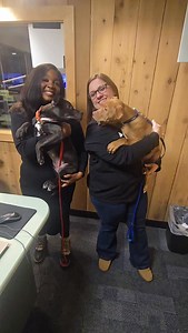 ICYMI: Leo and Francis were here for the Erie Humane Society's Wet Nose Wednesday ❤️ @eriehumanesociety @_ashmariemedia @emily.mccullor @erienewsnow #wetnosewednesday #eriepa #erie #wakeuphappi #adoptdontshop | HAPPI 927