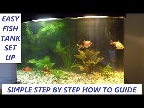 EASY FISH TANK SET UP GUIDE FOR COLD WATER FISH. GOLDFISH TANK - HOW TO SET UP AN AQUARIUM FISH TANK