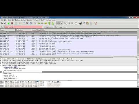 How to use wireshark to find website IP address