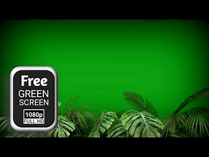 Tropical plant leaves green screen video | green screen flying | leaf green screen video effects