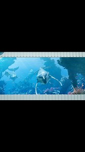 3D led screen wall #ledscreen #led #screen #display #media #leddisplay #panel #ledpanel #bigscreen #ledmonitor #resolution #color #rgb #tech #3d #tv | Apollomi LED Screen Display Factory