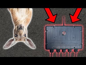 RIoT Lets you Switch Anything from Anywhere!