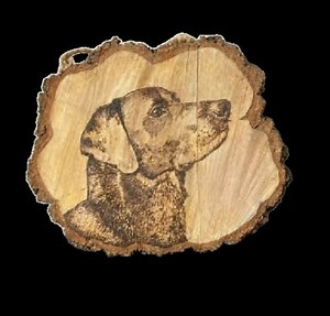 Pets Pictures Burned on Wood. Dogs Pyrography. Personalised Gifts for Pet Lovers. Wall Decor. Handmade, Not Laser Print. - Etsy UK