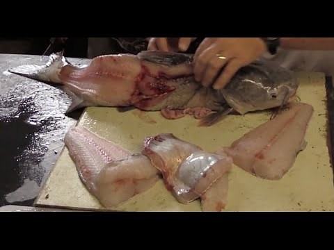 Learn how to fillet a catfish * Detailed Tips and Techniques.