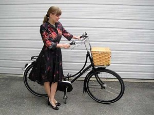 My Dutch Bicycle