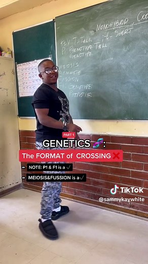 Exploring Genetics and Inheritance in Grade 12 Life Sciences