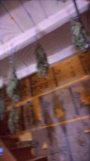 Vidéos de INVASION_SOUND (@sound_invasion7) avec son original - psychedelicpulse