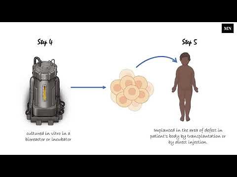 Tissue engineering Lecture 1