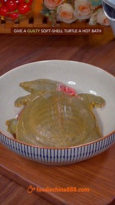40K views · 336 reactions | Trending soft shell turtle soup recipe in China. Do u have the guts to try? #recipe #cooking #chinesefood #turtle #soup #chicken | foodiechina888 | Facebook