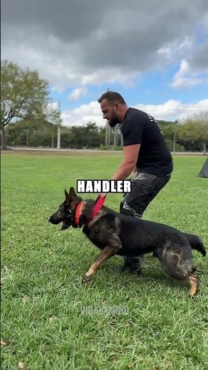 Why He Shot a Suspect 68 Times