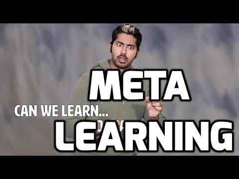 Meta Learning