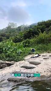 3K views · 210 reactions | MIKU on Reels | Facebook