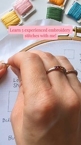 Learn 5 experienced embroidery stitches with me! 🪡Split stitch 🪡Stem stitch 🪡Long & short stitch 🪡Whipped back stitch 🪡Seed stitch Learn these stitch techniques and many more in the Intermediate Stitch Sampler kit: www.cleverpoppy.com 💕 #embroidery #stitches #embroiderystitches #modernembroidery #DIY | Clever Poppy