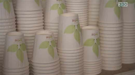 VIDEO: Confusion over compostable packaging