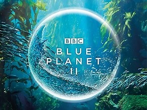 Blue Planet II | BBC Earth