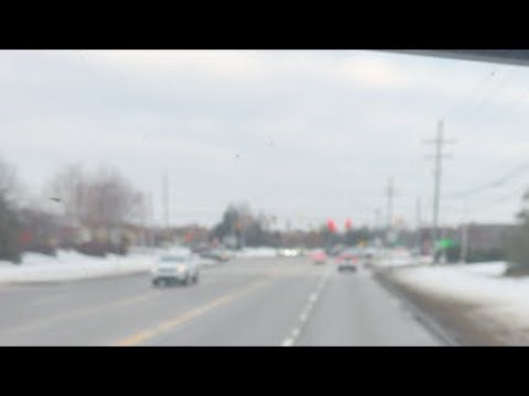 Backyard Trucker is live!