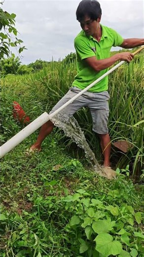 Pump-free siphon irrigation skills demonstration