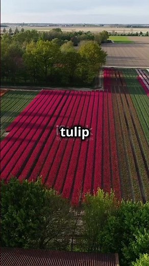 Top 10 Countries with the Most Beautiful Spring #spring