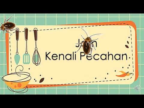 MATEMATIK TAHUN 1 - Kenali Pecahan