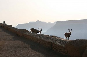 The ultimate guide to planning your trip to Israel! (By a professional tour guide)