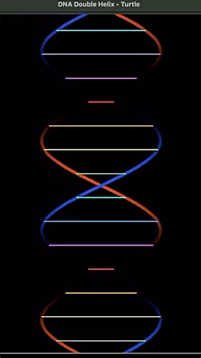 I create Human DNA using Python Turtle | wait for end |